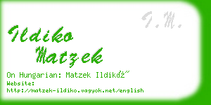 ildiko matzek business card